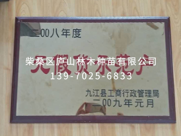 榮譽資質
