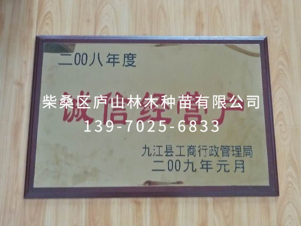 榮譽資質