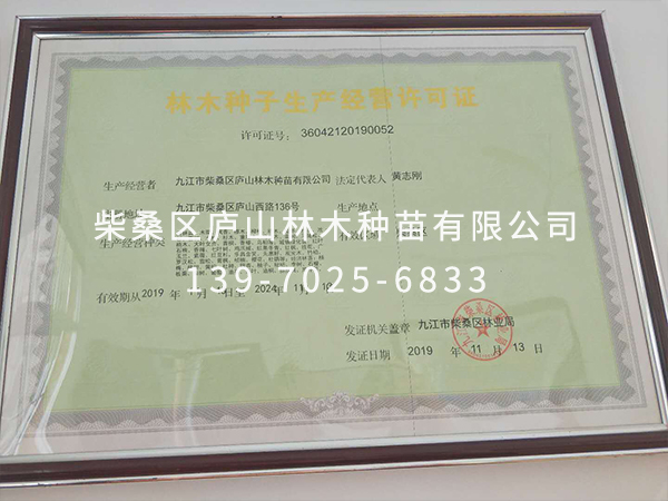 榮譽資質