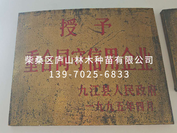 榮譽資質